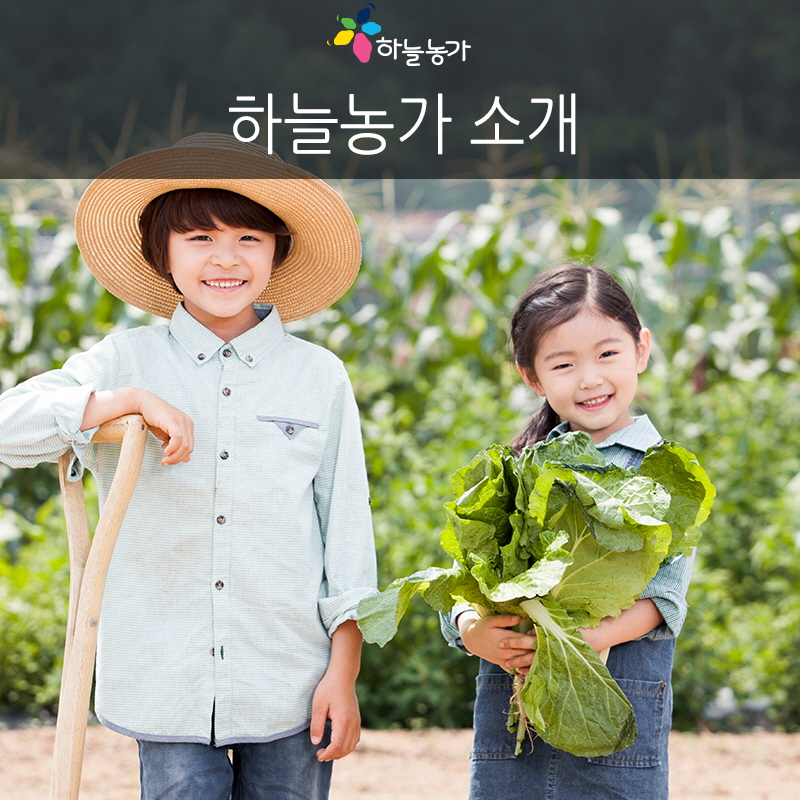 농업회사법인하늘농가(주) 이미지