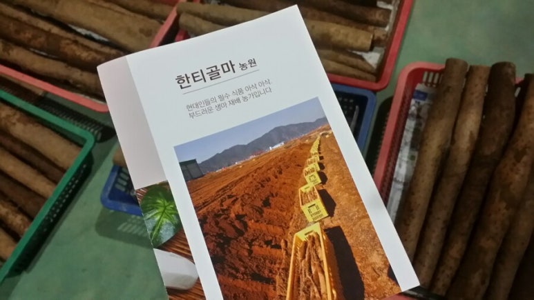 한티골마 이미지