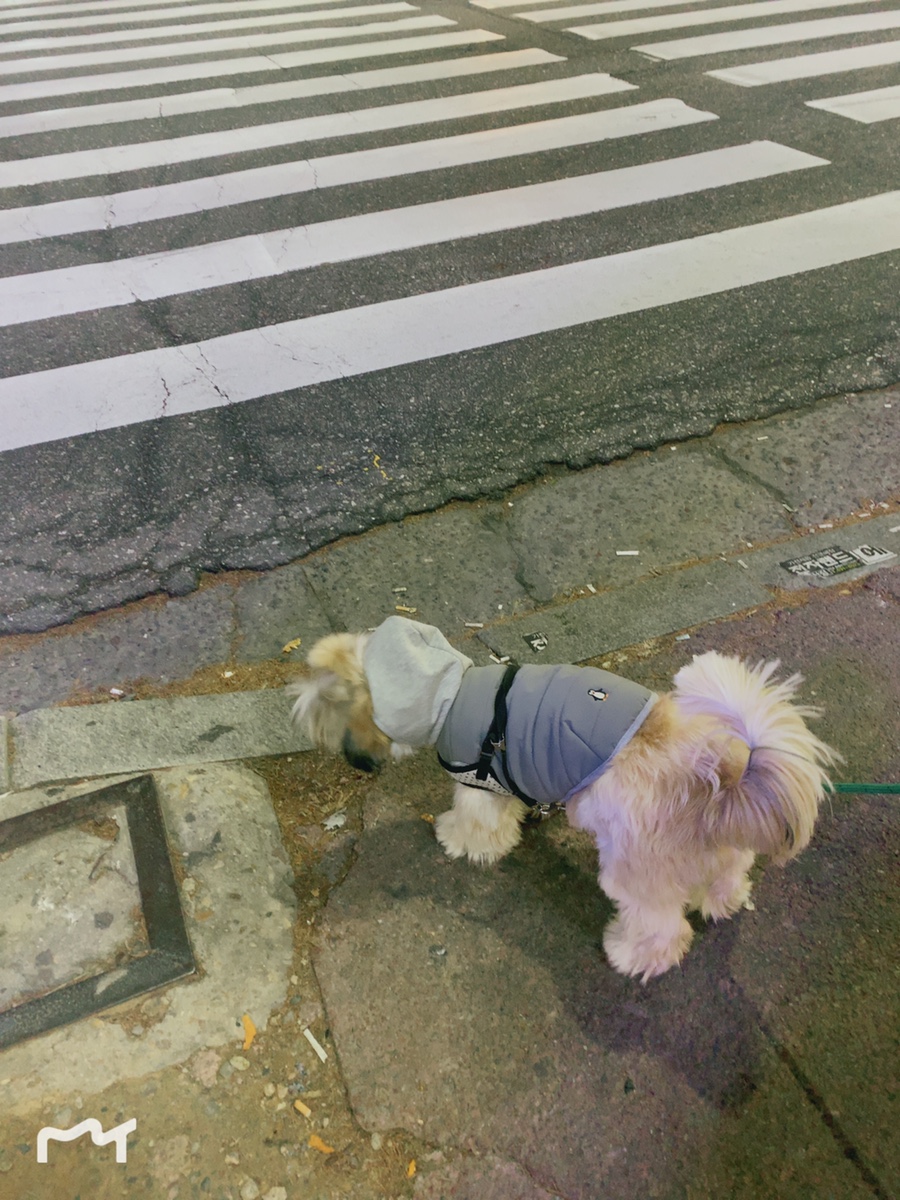 부리나참숯불바베큐 이미지