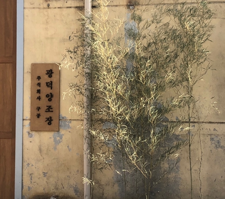 광덕커피 이미지