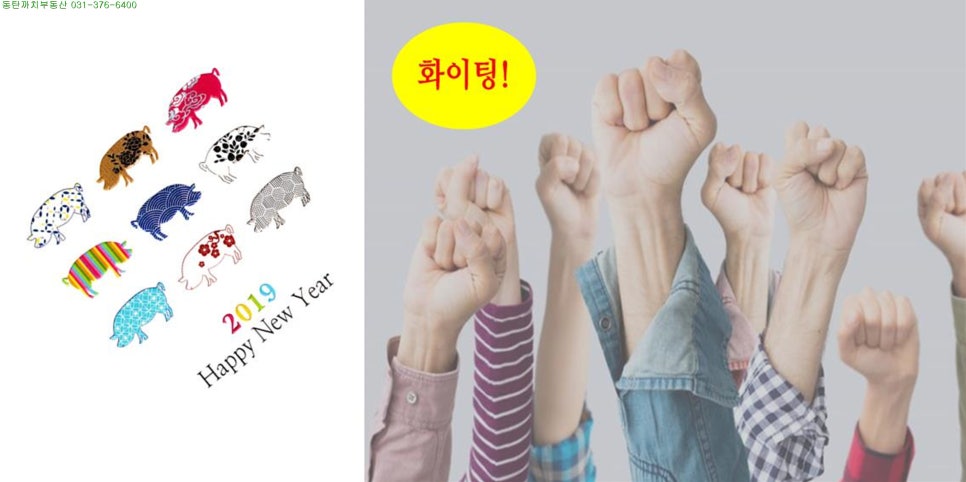 서천꽃돼지 이미지