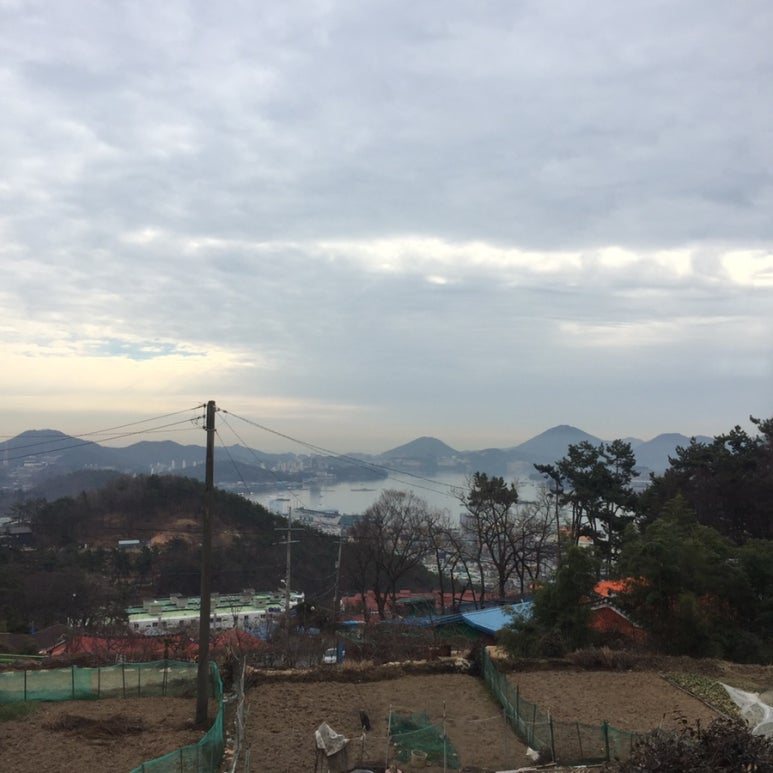 약수닭집 이미지