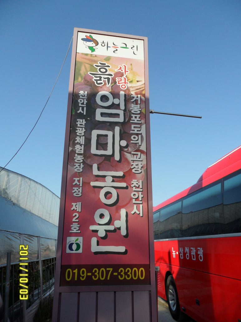 엄마사랑농원 이미지