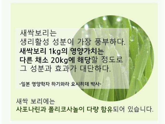 새싹나라 이미지
