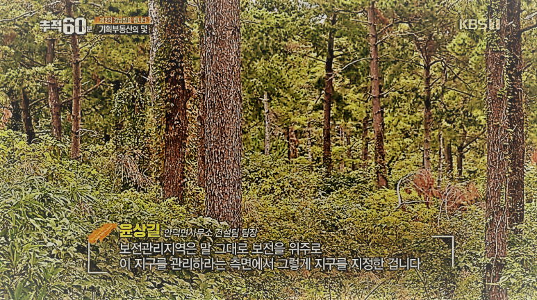 큰원기획 이미지