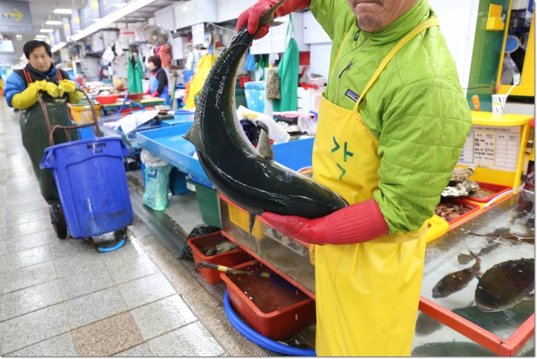 정문상회 이미지
