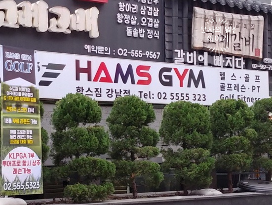 함스짐 이미지