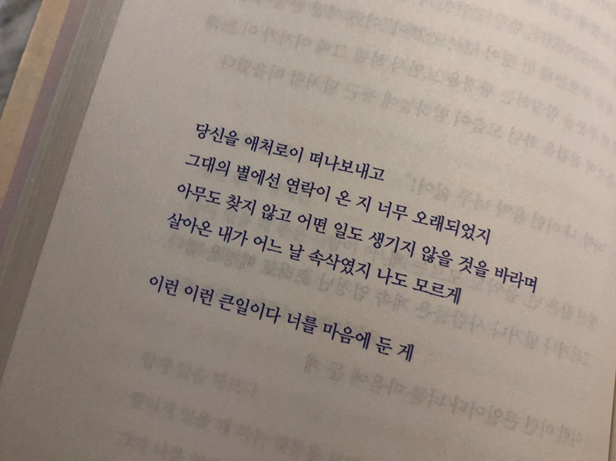 사이라 호프 커피 이미지