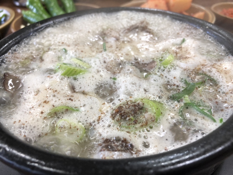 포토그라피코 이미지