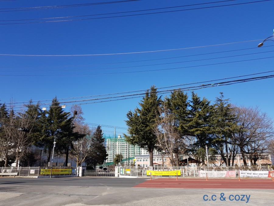 단포반점 이미지