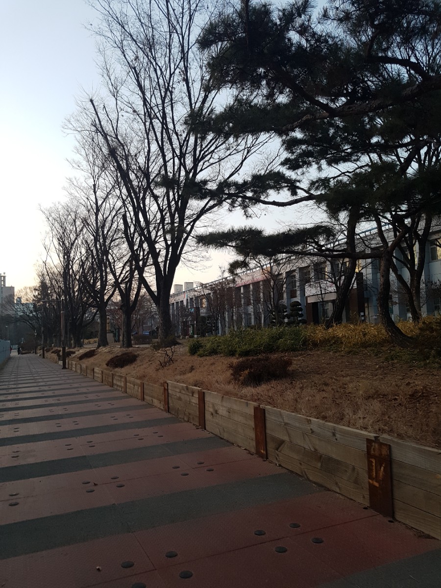청개구리당구장 이미지