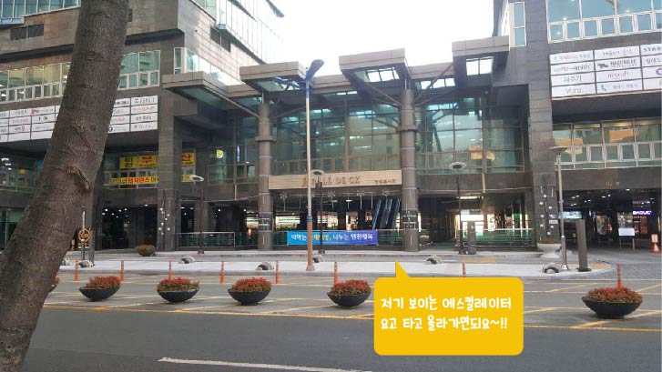 레디움 이미지