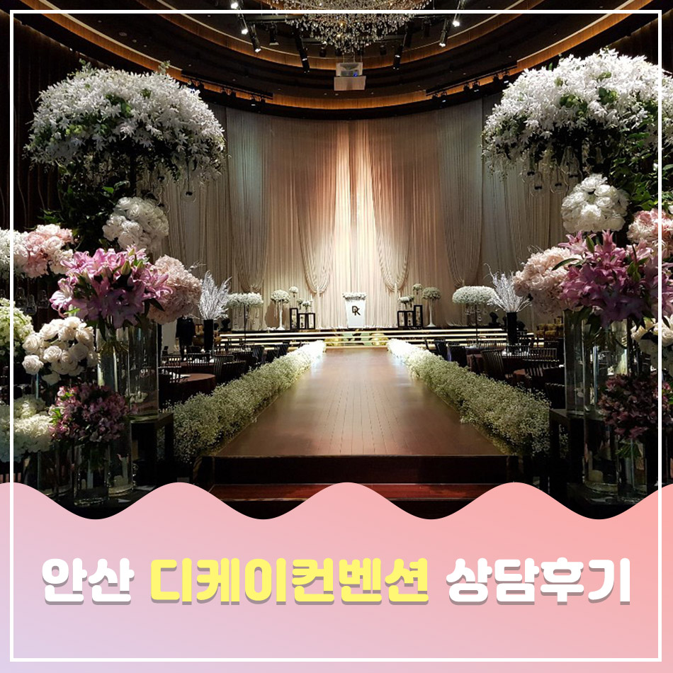 디케이투어 이미지