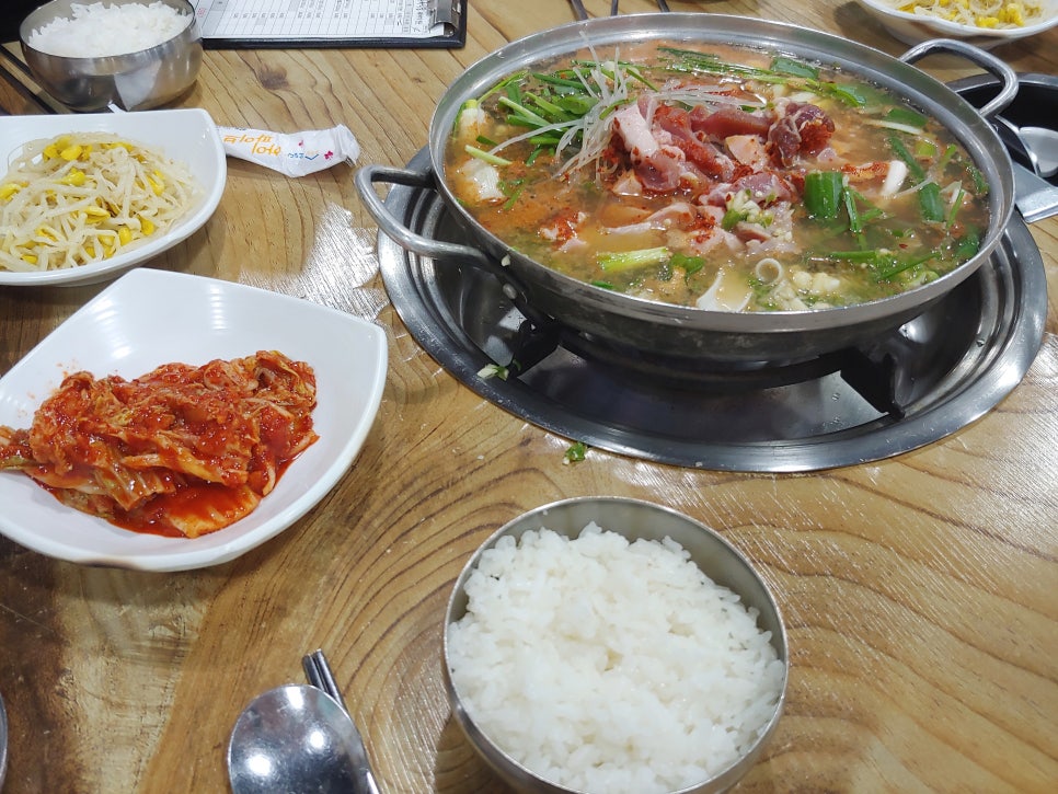 날마다좋은돼지 이미지