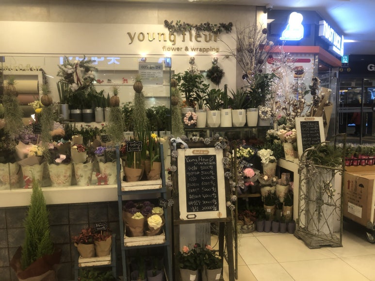 영플레르 이미지