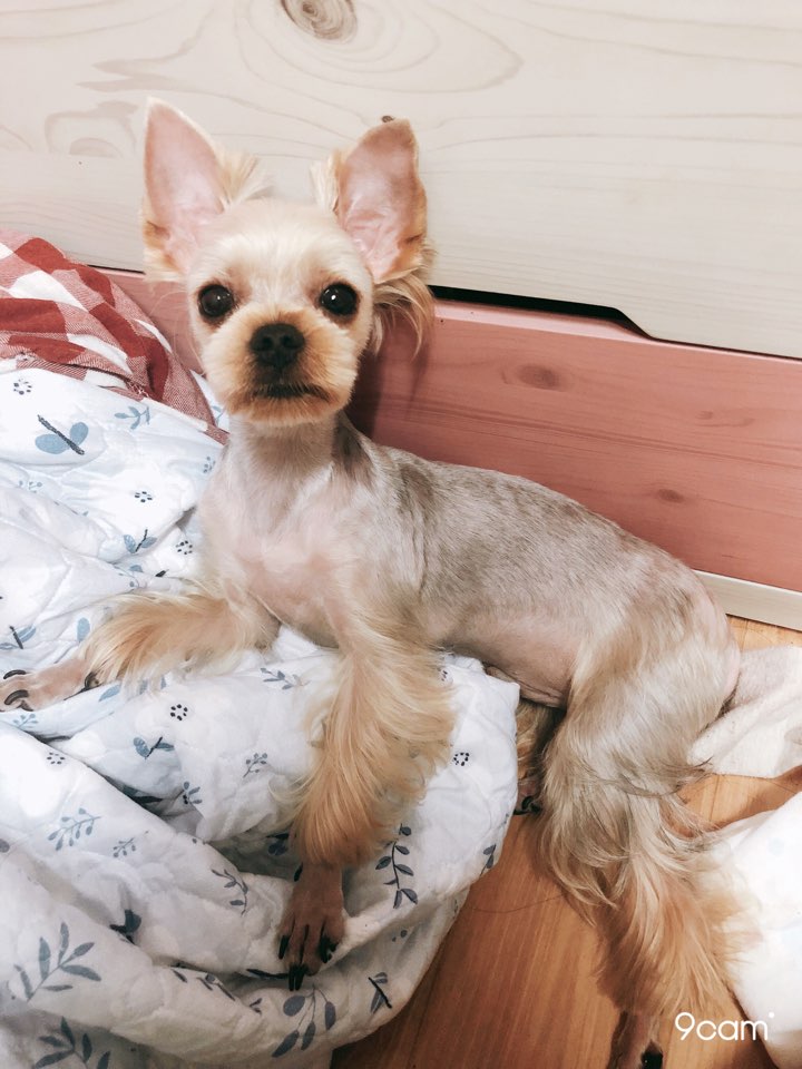 허니멍 이미지