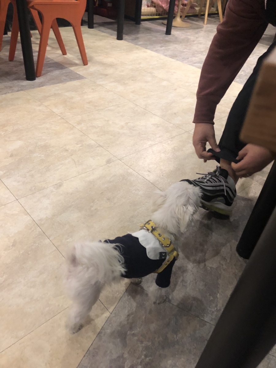레스토랑펍피 이미지