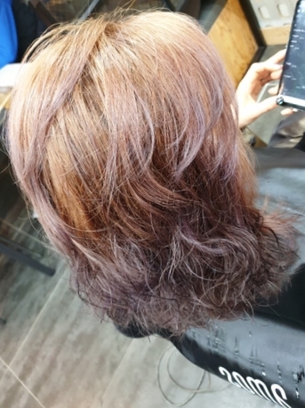 바스코헤어 이미지