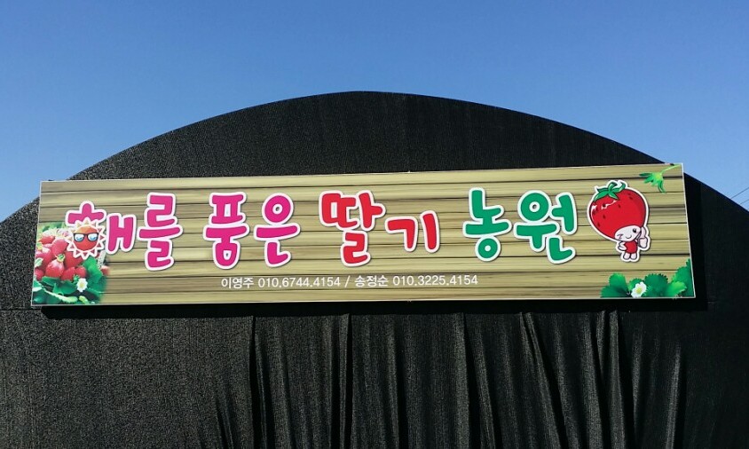 해를 품은 딸기농원 이미지