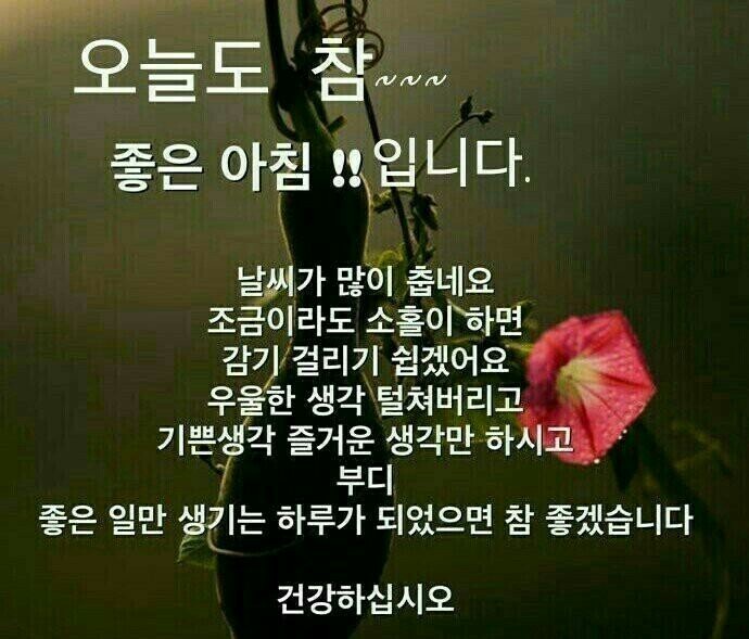 힐링하우스 이미지