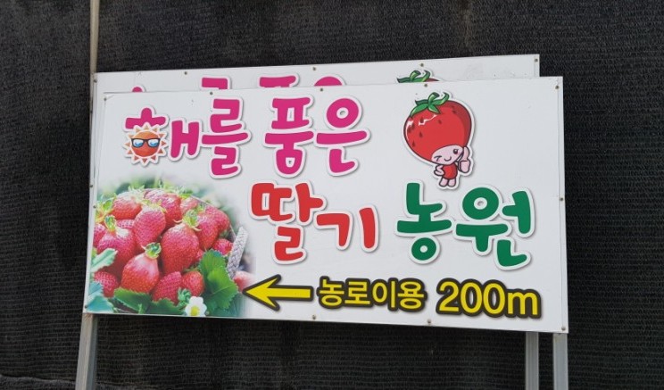 해를 품은 딸기농원 이미지