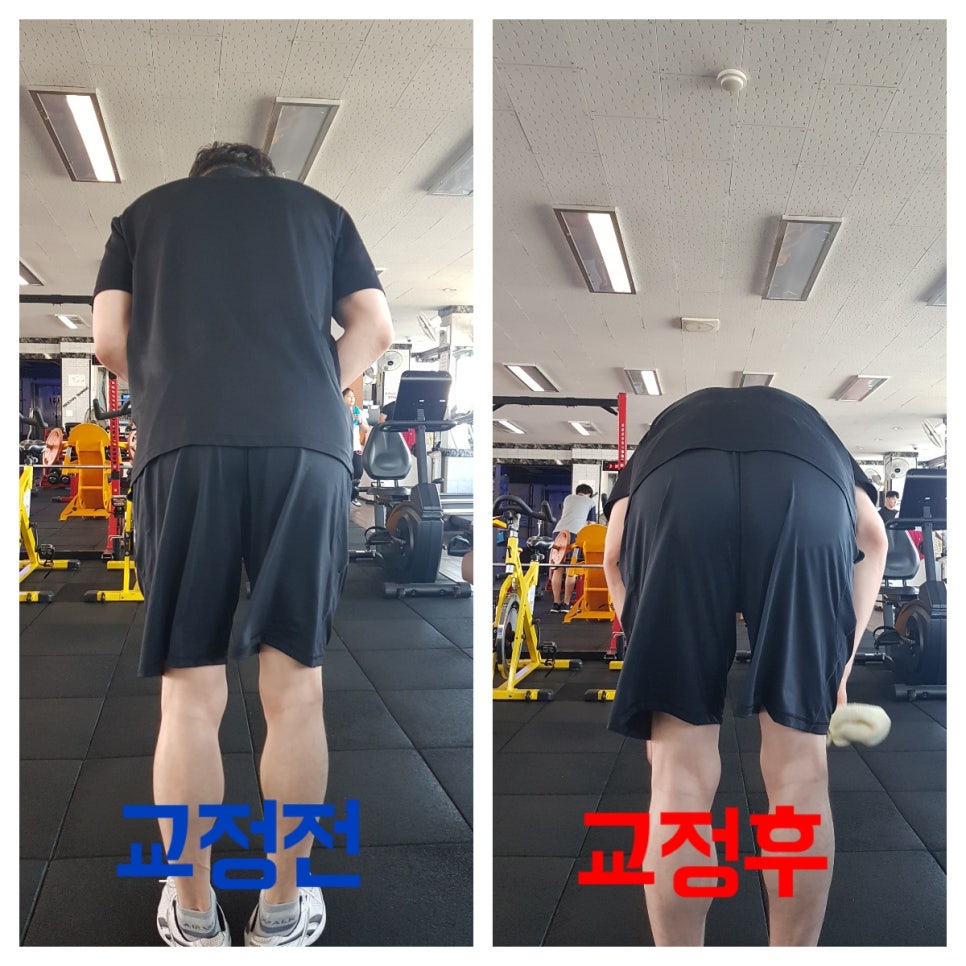 강남휘트니스 이미지