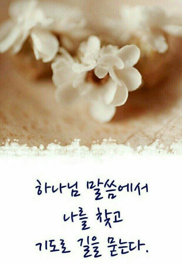 (주)한메 이미지