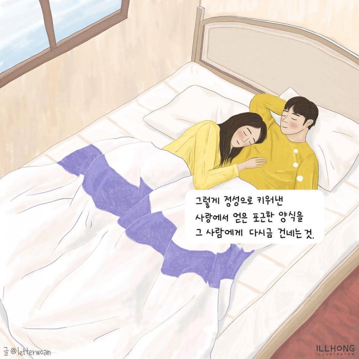 일홍 이미지