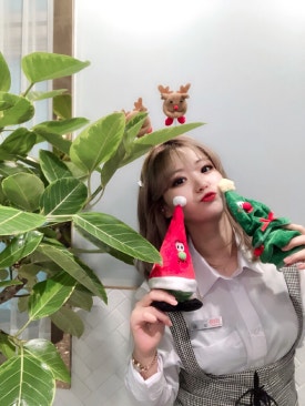 보미헤어 이미지