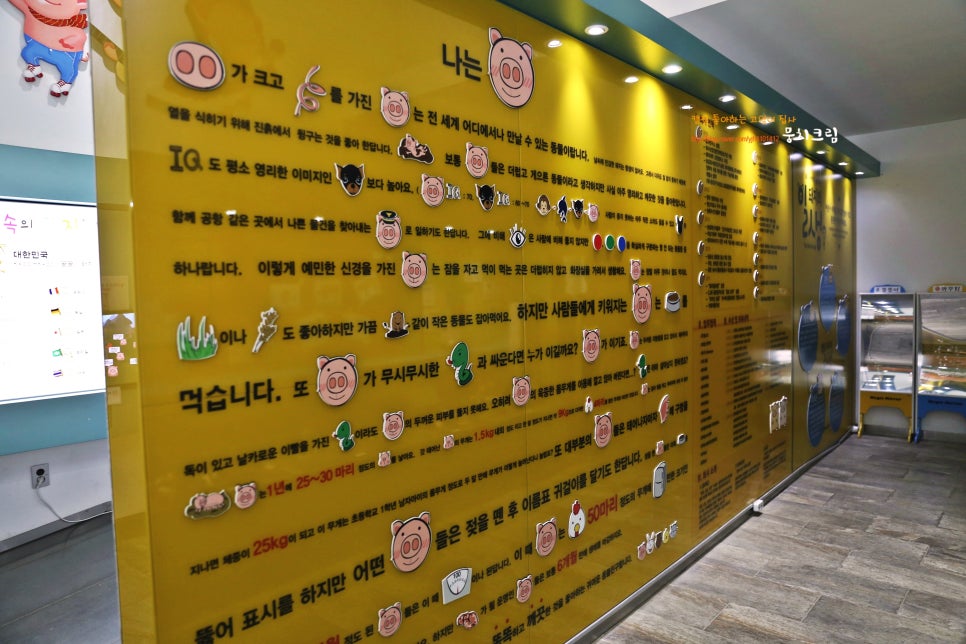 날아라피그렛 이미지