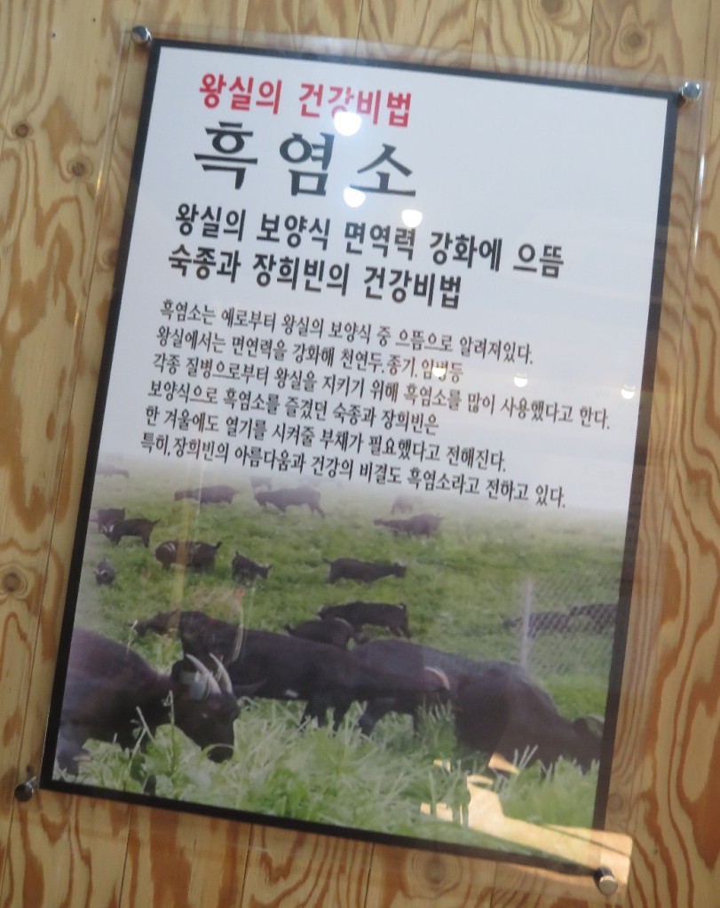 황간흑염소 이미지