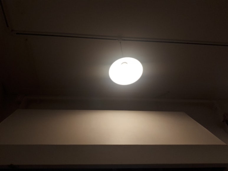 일구팔칠 이미지