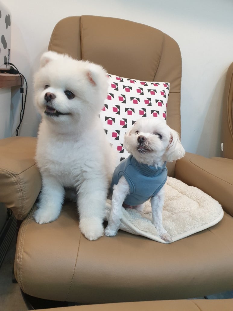 네일엠씨 이미지