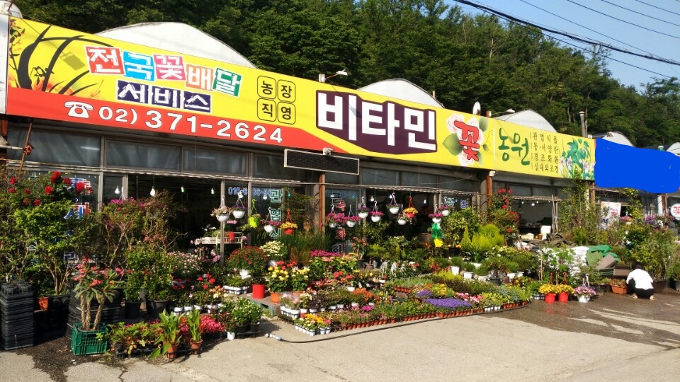뉴-타운플라워 이미지