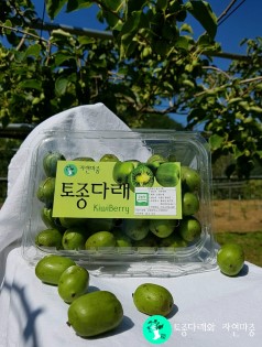 자연마중 이미지