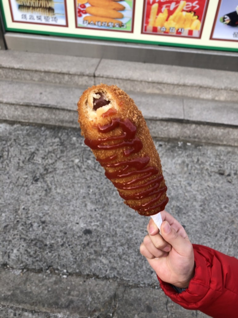 꼬치리아 이미지