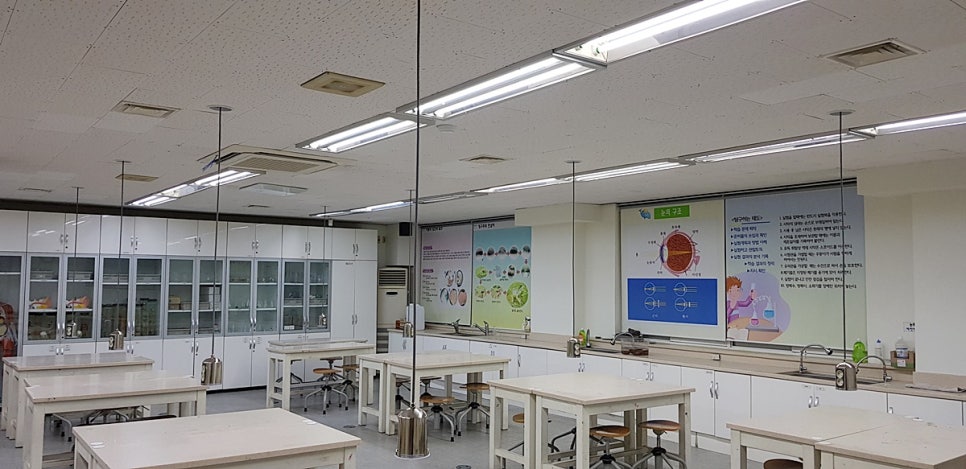 장성중학교 이미지