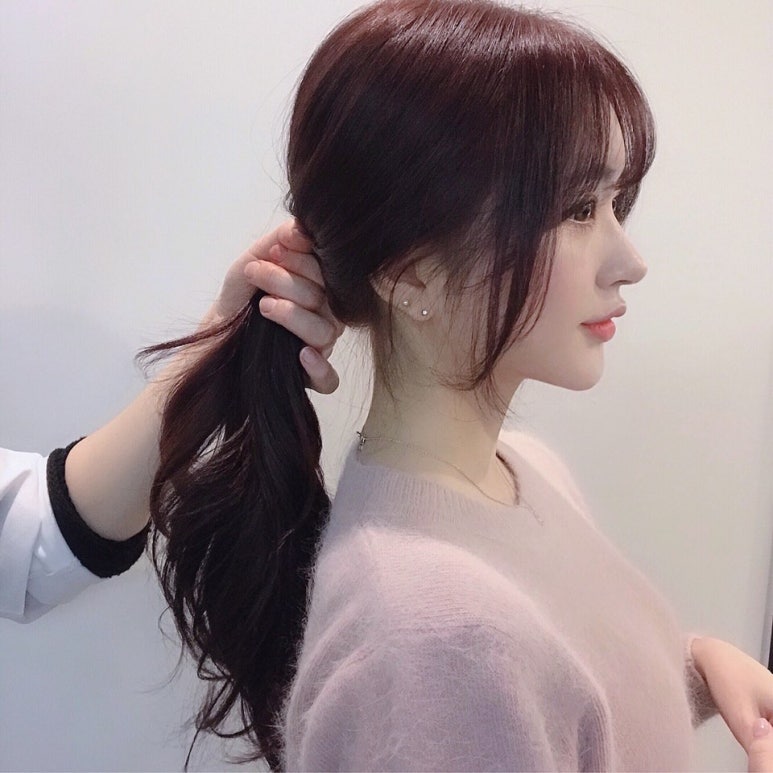 짜르지오 이미지