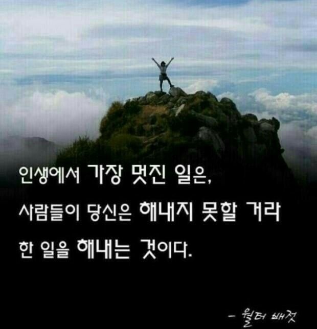 바이온스 이미지