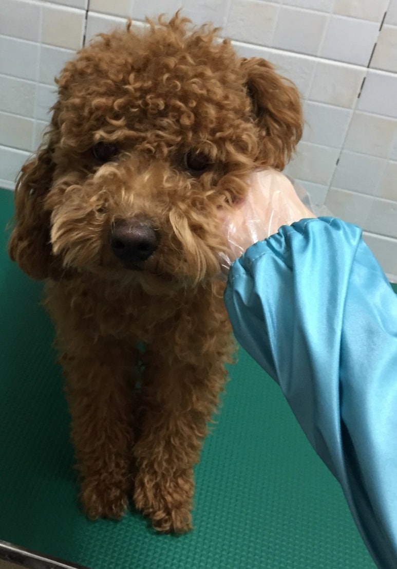 띵동 이미지