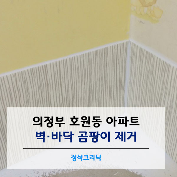정석크리닉 이미지