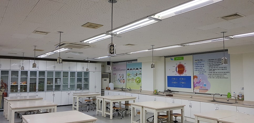 장성중학교 이미지