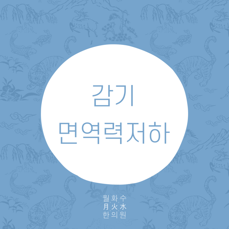 월화수한의원 이미지