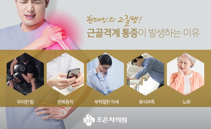 조은차의원 이미지