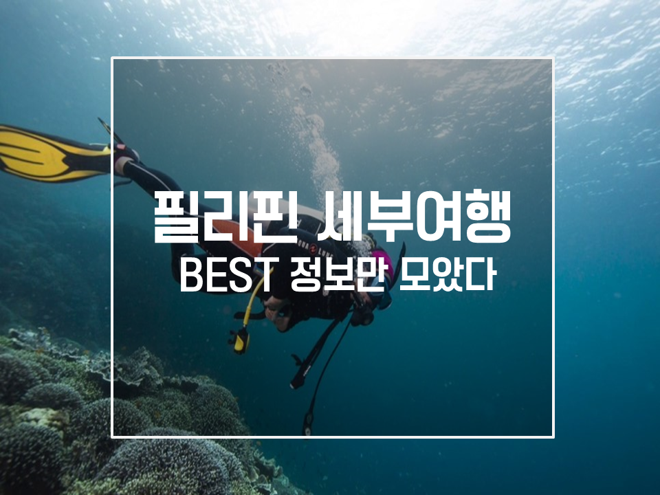 서라벌여행사 이미지