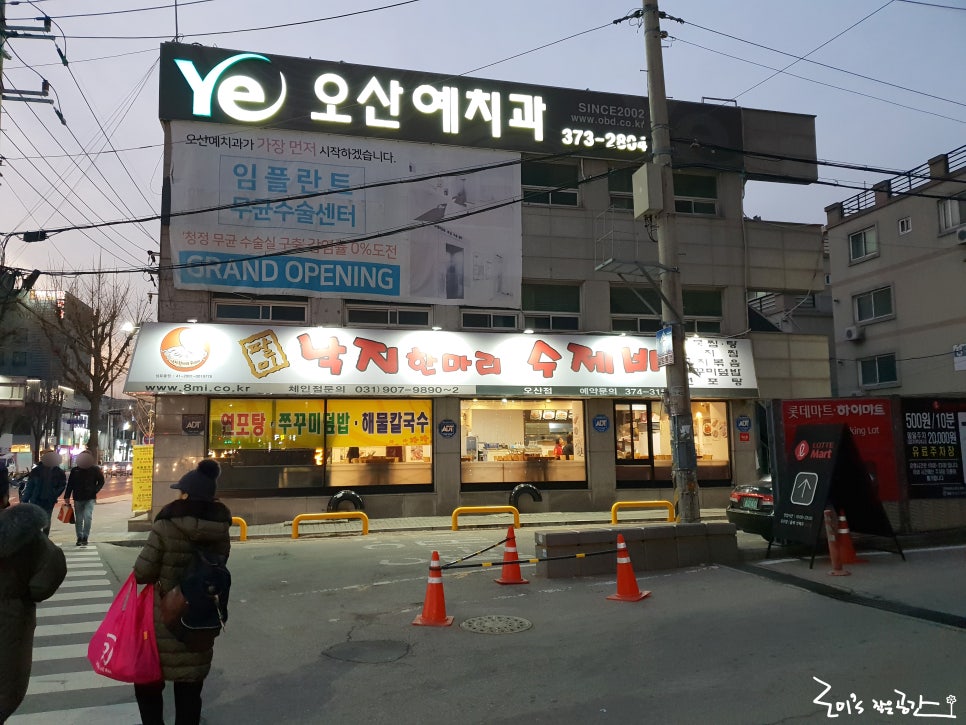 팔미마트 이미지