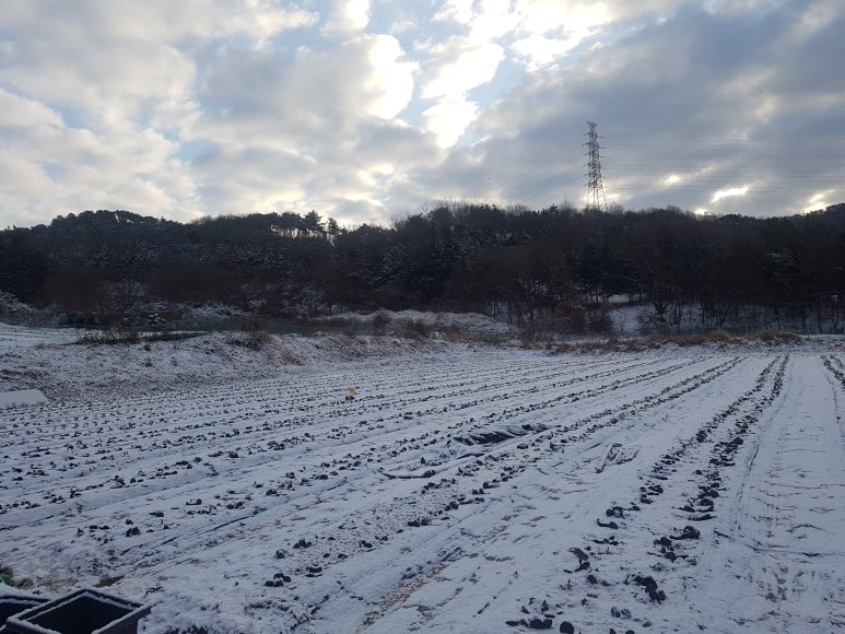 재호팜스토리 이미지