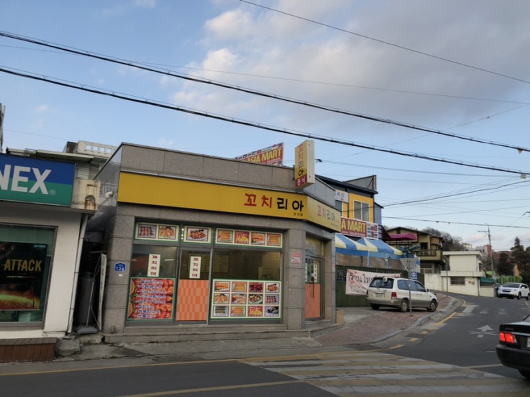 꼬치리아 이미지