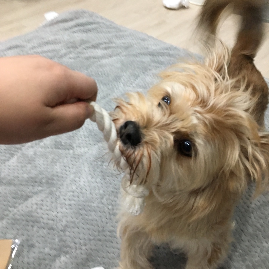 오구컴퍼니 이미지