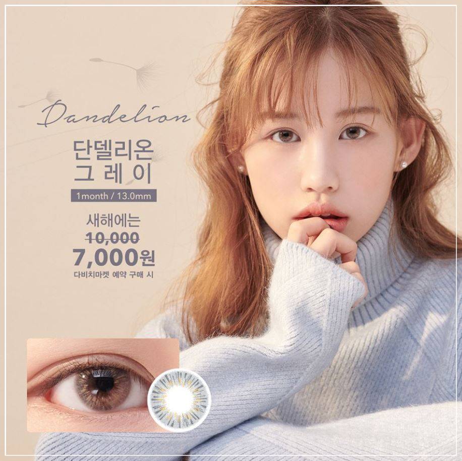 단델리온 이미지